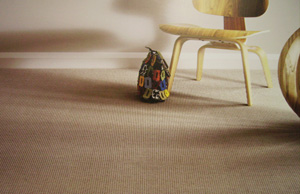 Carpet and Rug Dealers - New Listing